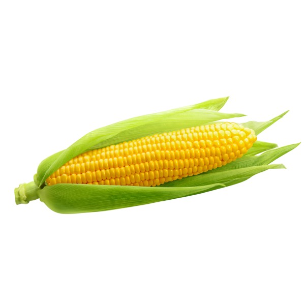 SWEET CORN