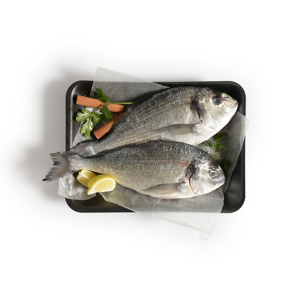 FISH SEABREAM AJAJ
